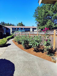 11555 SW 88th Ave unit 49 3-33 - Tigard, OR