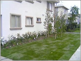 Courtyard Apartments - North Hollywood, CA