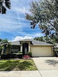 14640 Corkwood Dr - Tampa, FL