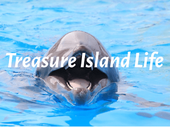 10375 Paradise Blvd - Treasure Island, FL