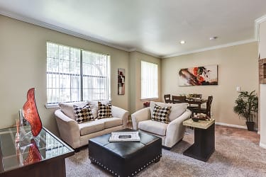 Saddle Brook Apartments - Waco, TX