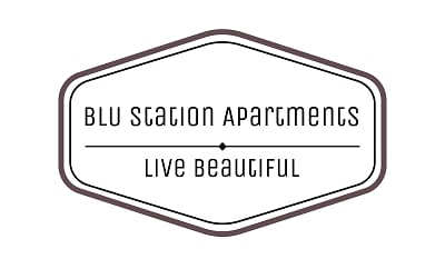 BLU Station Apartments - Durham, NC