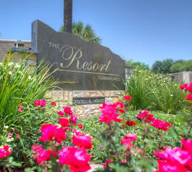 Resort Townhomes - Stafford, TX