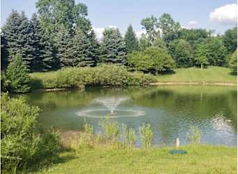 pond view 2.png