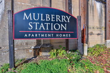 Mulberry Station Apartments - Harrisburg, PA
