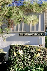 The Pines Apartments - undefined, undefined