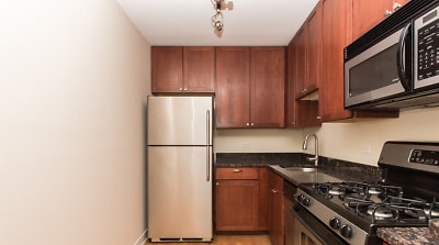625 W Wrightwood Ave unit 510 - Chicago, IL