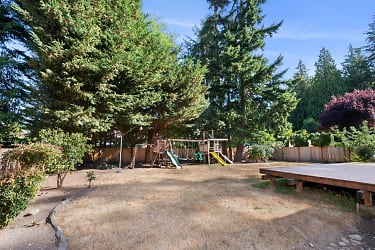 back yard playset and deck and fruit trees.jpg