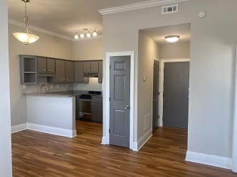 The Cobb House Apartments - Augusta, GA