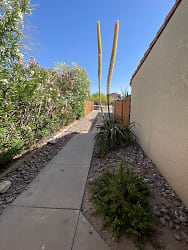 1107 E Water St - Tucson, AZ