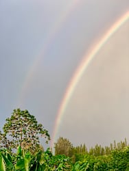 IMG_9958.jpeg