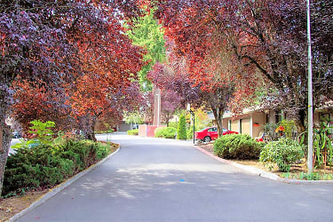 Forest Canyon Village Apartments - Vancouver, WA