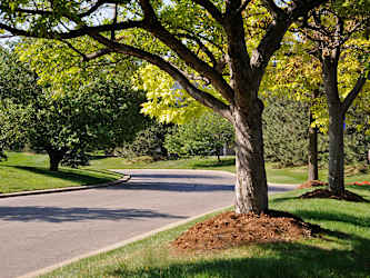 The Landings Apartments - Westland, MI