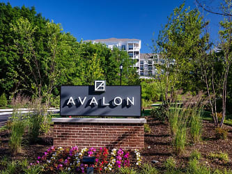 Avalon Boonton Apartments - Boonton, NJ