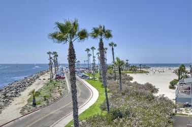2595 Ocean Front Walk #7 - San Diego, CA