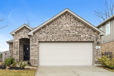 18822 Mont Blanc Way - New Caney, TX