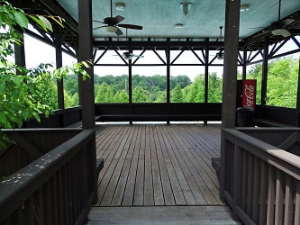 1122 Tree Top Way unit 1231 - Knoxville, TN