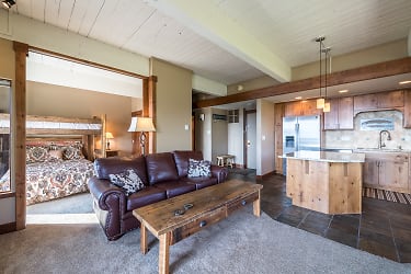 2305 Storm Meadows Dr unit 319 - Steamboat Springs, CO