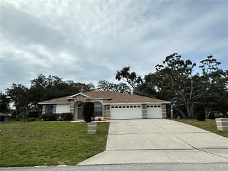 3015 Overview Ln - Spring Hill, FL