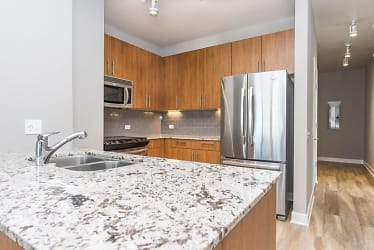 505 N State St unit 3502 - Chicago, IL