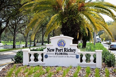 10916 Hayden Ave - New Port Richey, FL