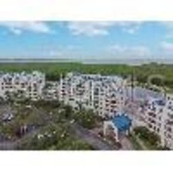 2333 Feather Sound Dr #B408 - Clearwater, FL