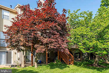 15624 Ambiance Dr - North Potomac, MD