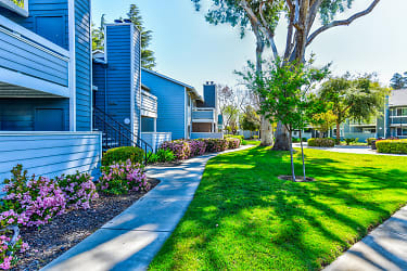 Cedar Glen Apartments - Campbell, CA