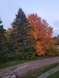 36746 County Rd 6 - Stanchfield, MN