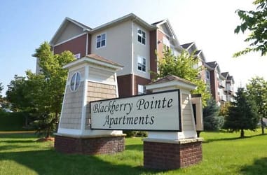 Blackberry Pointe Apartments - undefined, undefined