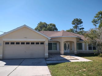 11267 Old Squaw Ave - Brooksville, FL