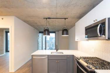 169 W Huron St unit 102 - Chicago, IL