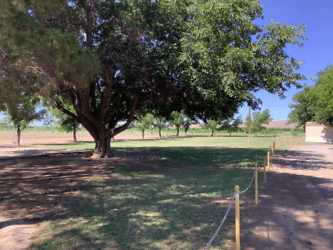 6345 N Dona Ana Rd - undefined, undefined
