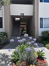 113 N. Parish Pl Apartments - Burbank, CA