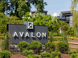 Avalon Teaneck Apartments - undefined, undefined