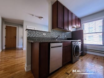 2906 N Mildred Ave unit CL-2906-K1 - Chicago, IL