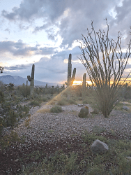 4140 W Camino Pintoresco - Tucson, AZ