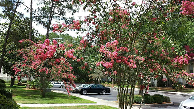 Creekwood Apartments - Gainesville, FL