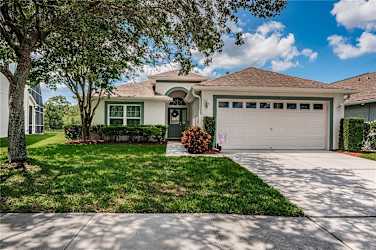 11246 Cypress Reserve Dr - Tampa, FL