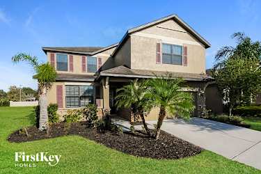12518 Ballentrae Forest Drive - Riverview, FL