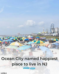157 Bark Dr - Ocean City, NJ