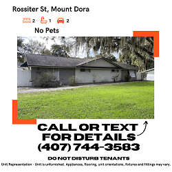 155 S Rossiter St - Mount Dora, FL