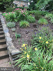 rental listing pic 21.jpg