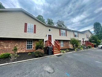 702 Goose Meadow Dr - Forest, VA