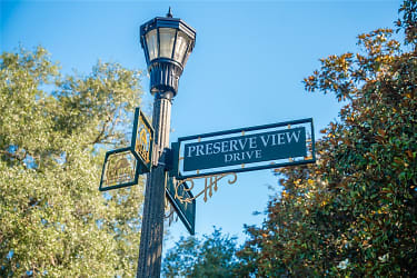 11357 Preserve View Dr - Windermere, FL