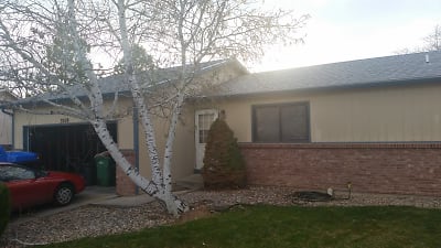 3319 Sun Disk Ct - Fort Collins, CO