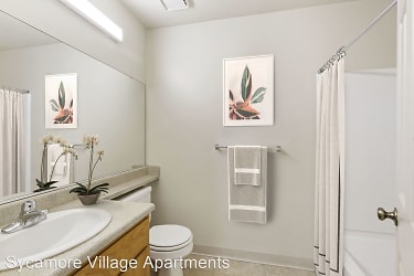Sycamore Village Apartments - undefined, undefined