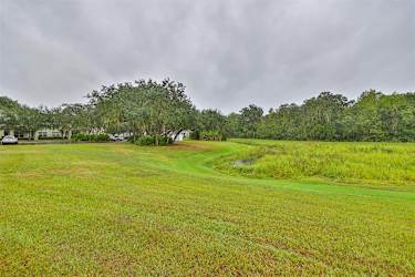 5818 Fishhawk Ridge Dr - Lithia, FL