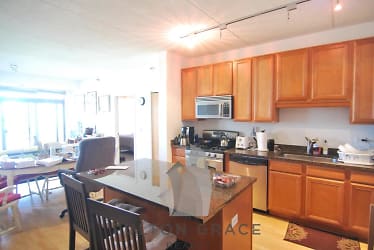 1250 S Indiana Ave unit 00506 - Chicago, IL