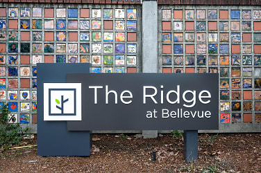 The Ridge At Bellevue Apartments - undefined, undefined